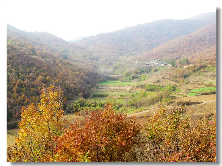 20111120 084.jpg
