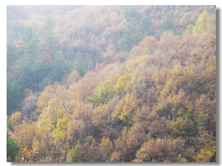 20111120 086.jpg