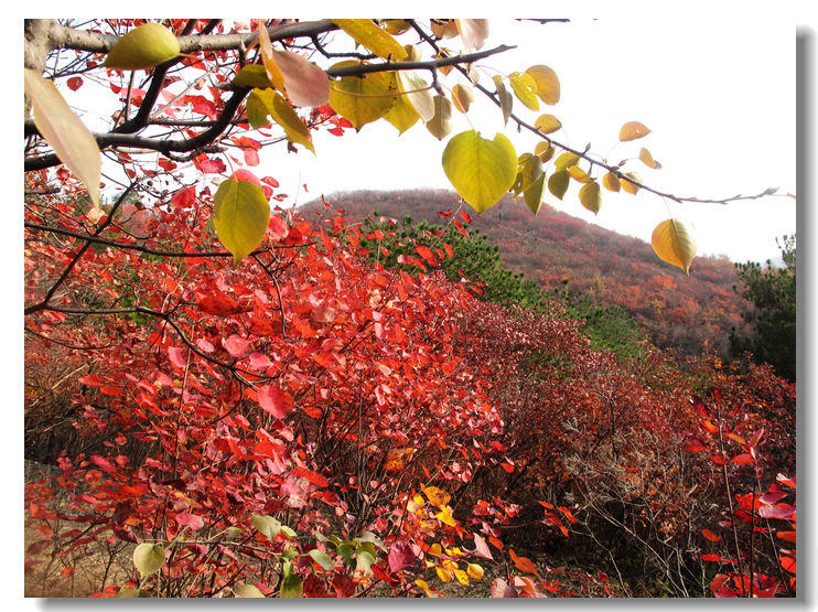 20111120 098.jpg