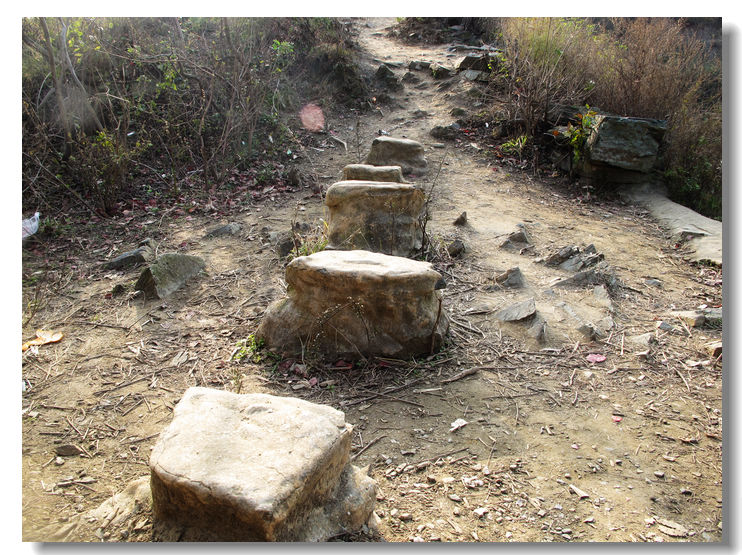 20111120 110.jpg