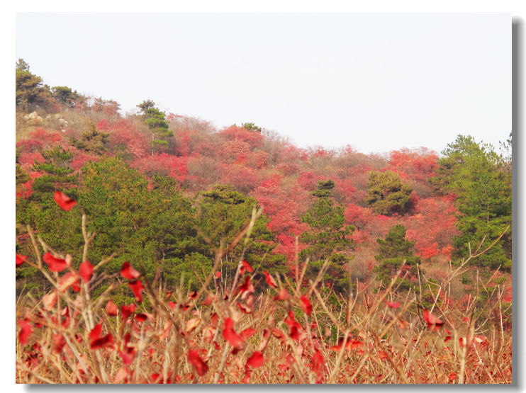 20111120 116.jpg