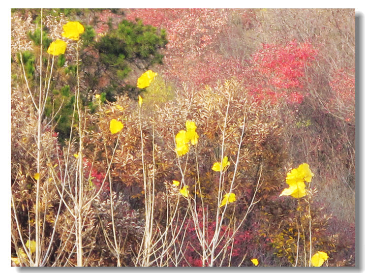 20111120 140.jpg