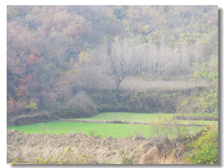 20111120 075.jpg