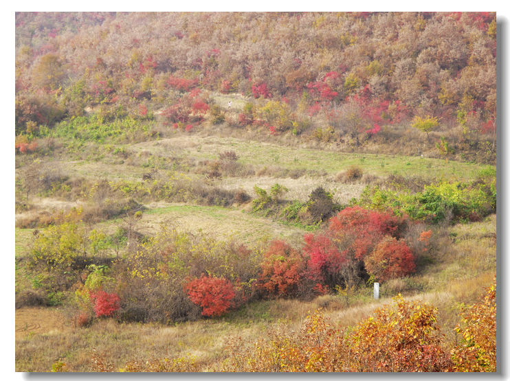 20111120 076.jpg