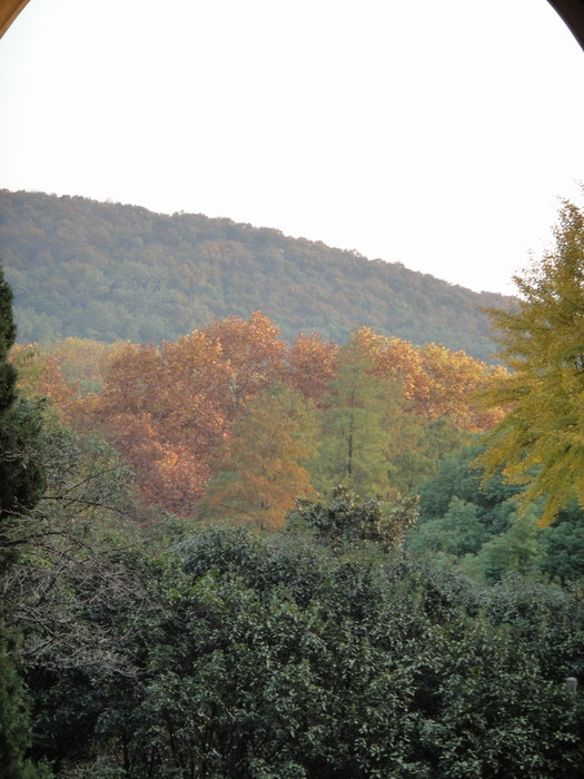 dsc01346.jpg