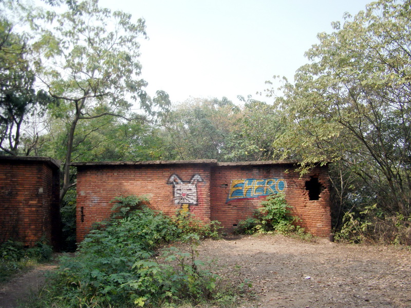 dscf0251.jpg