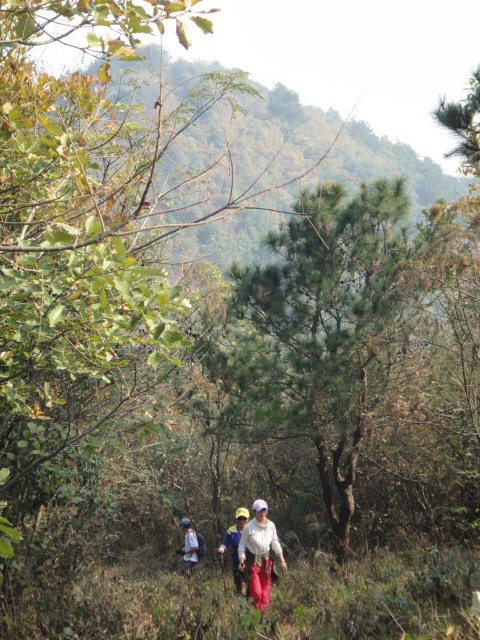dsc09728.jpg