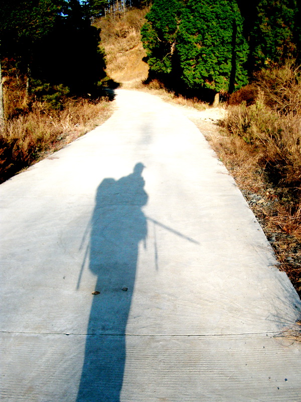 dscf0240.jpg