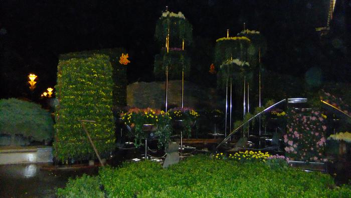 dscf6405.jpg