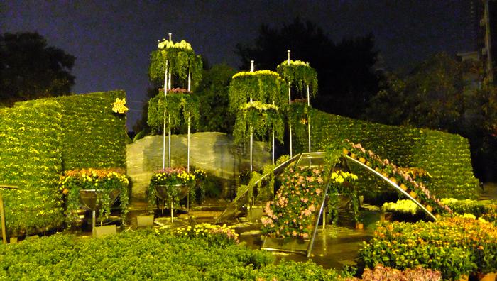 dscf6390.jpg