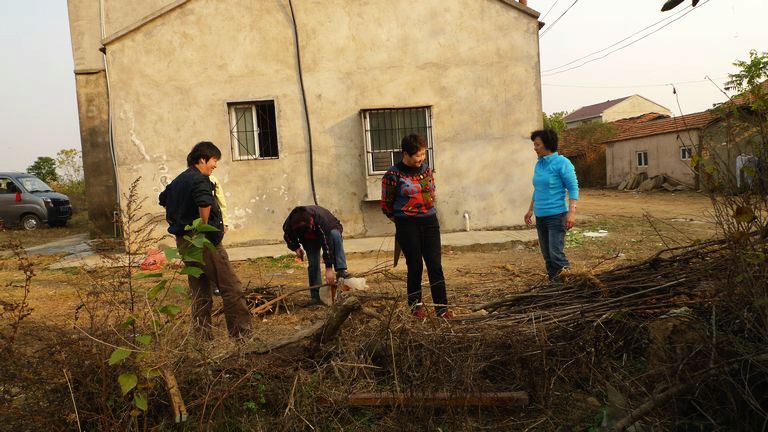 p1120740.jpg