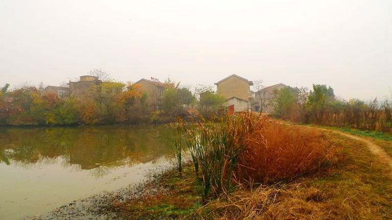 p1120860.jpg