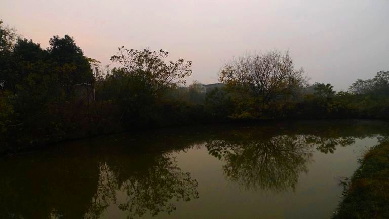 p1120787.jpg