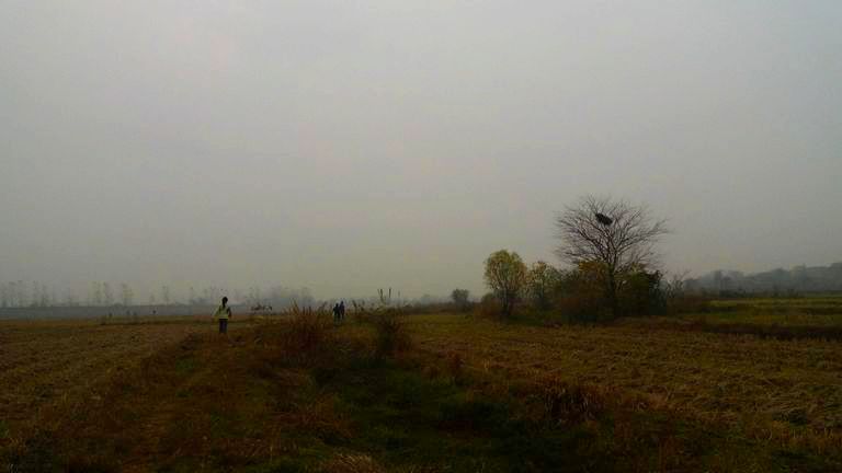 p1120841.jpg
