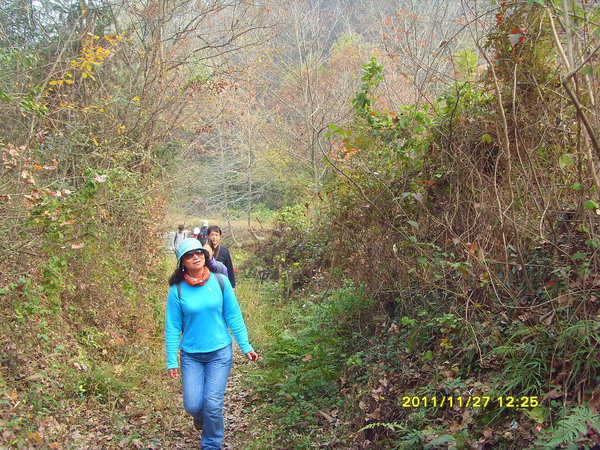 sdc17381.jpg