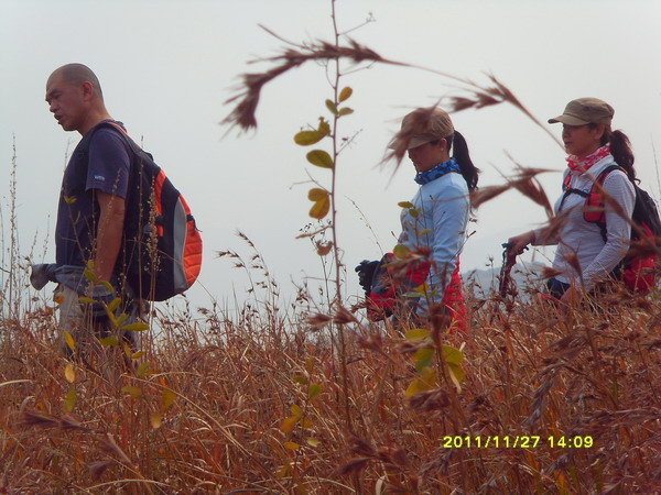 sdc17388.jpg