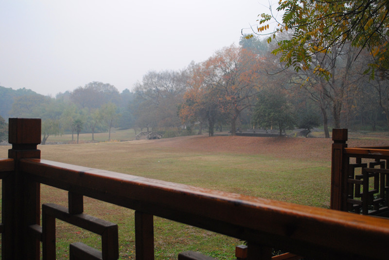 dsc_0375_.jpg