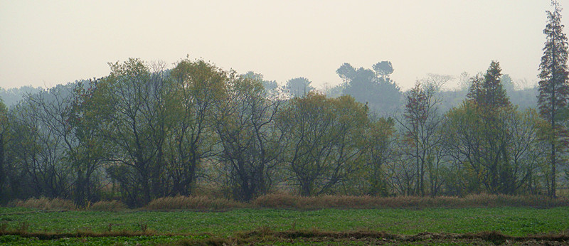 dsc03743_.jpg