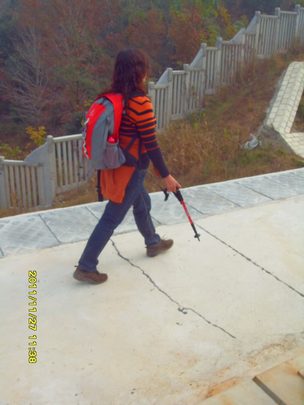 sdc17353.jpg