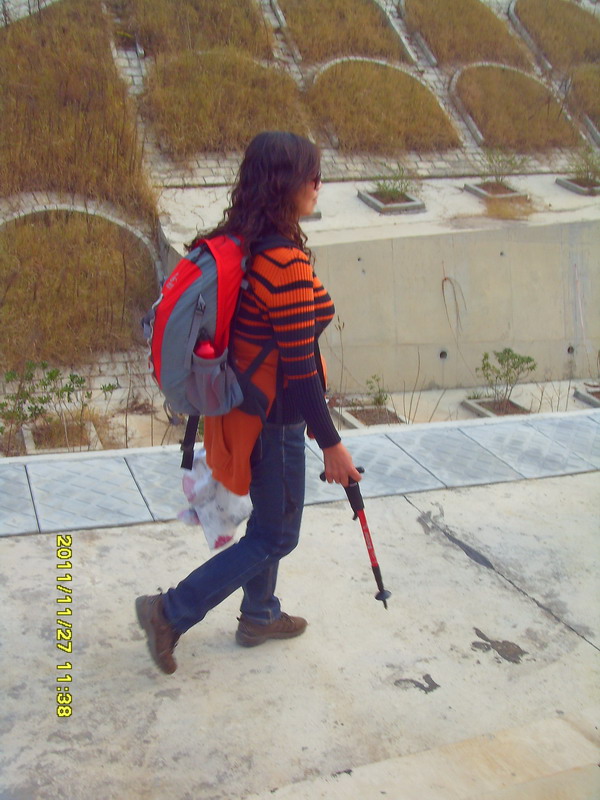 sdc17356.jpg