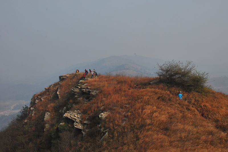 dsc_0025_С.jpg