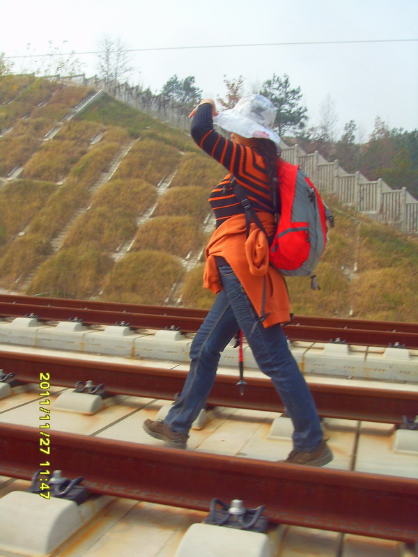 sdc17368.jpg
