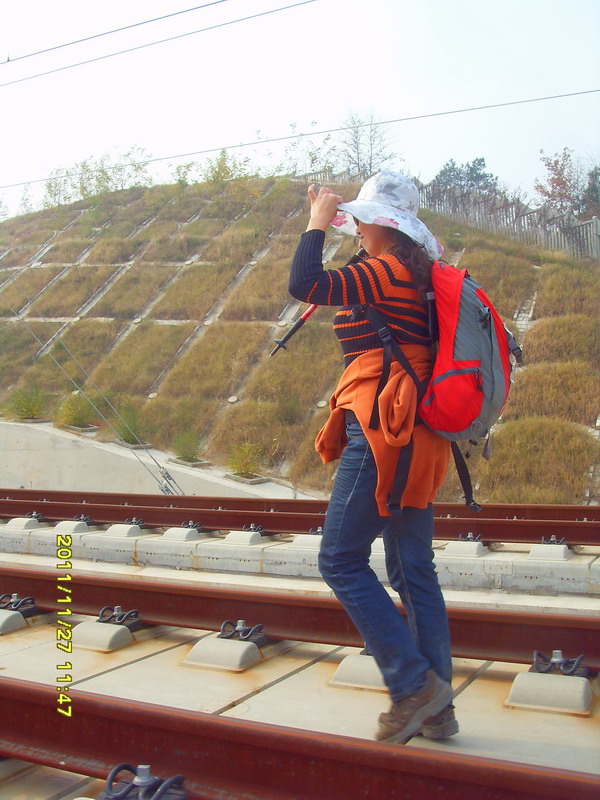 sdc17369.jpg