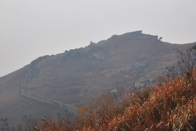 dsc_0039_С.jpg
