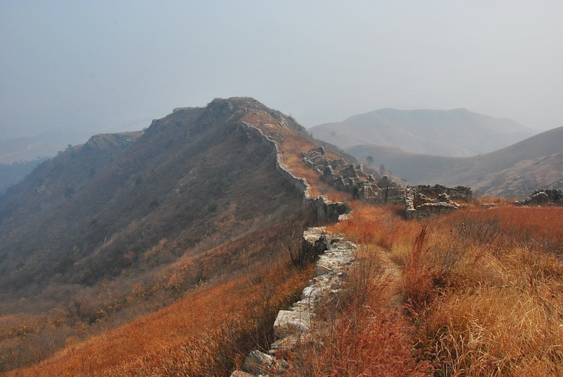 dsc_0041_С.jpg