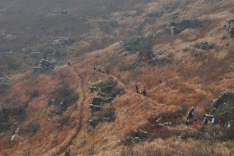 dsc_0042_С.jpg