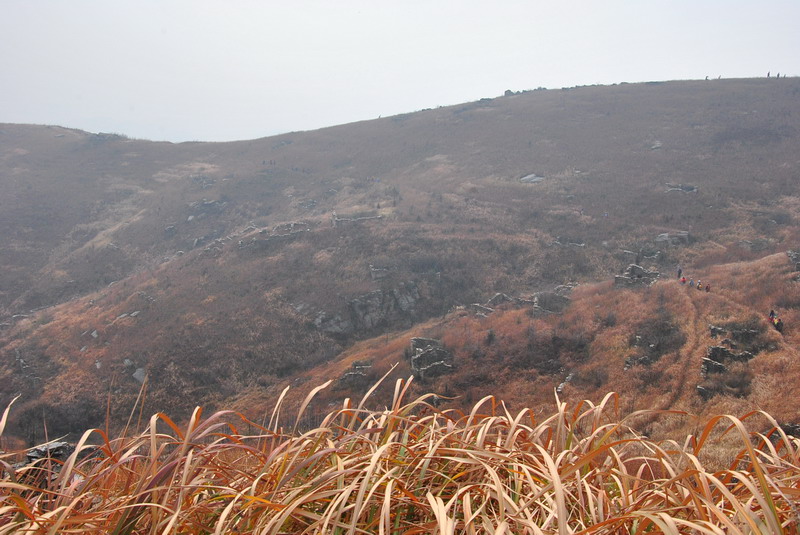 dsc_0043_С.jpg