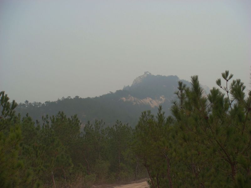 dsc01.jpg