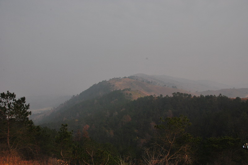 dsc_0014_С.jpg