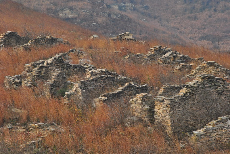 dsc_0049_С.jpg
