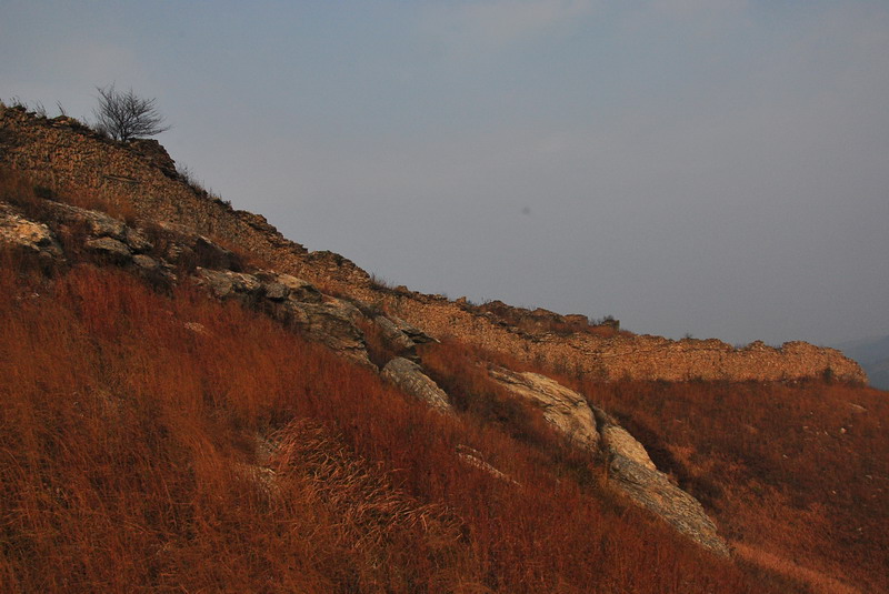 dsc_0059_С.jpg