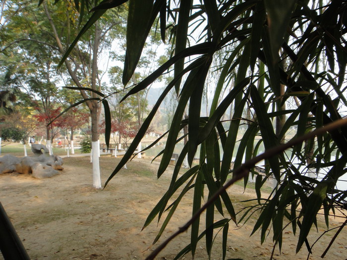 353-20.jpg