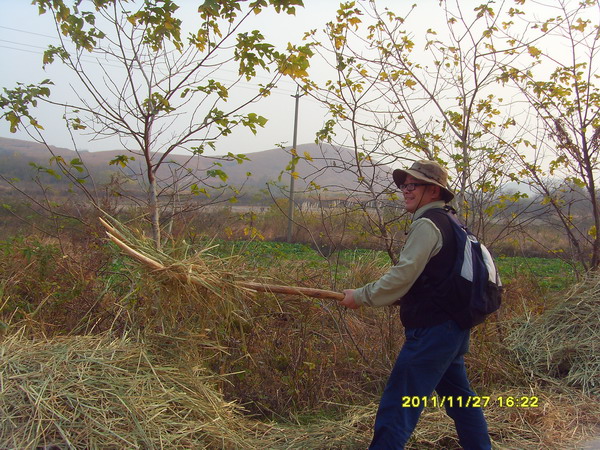 sdc17444.jpg