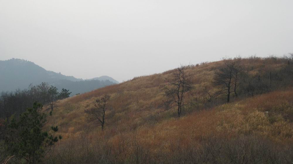 С  078.jpg