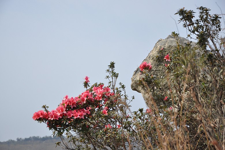 dsc_2307.jpg