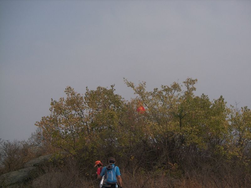 ڷԶǰƮ.jpg