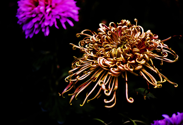 _dsc8348a.jpg