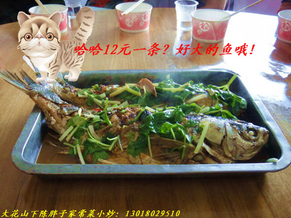 ޱ-12Ԫ00.jpg