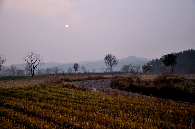 dsc_0211_����.jpg