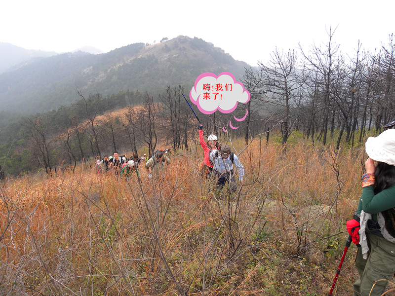 dscn6775_.jpg