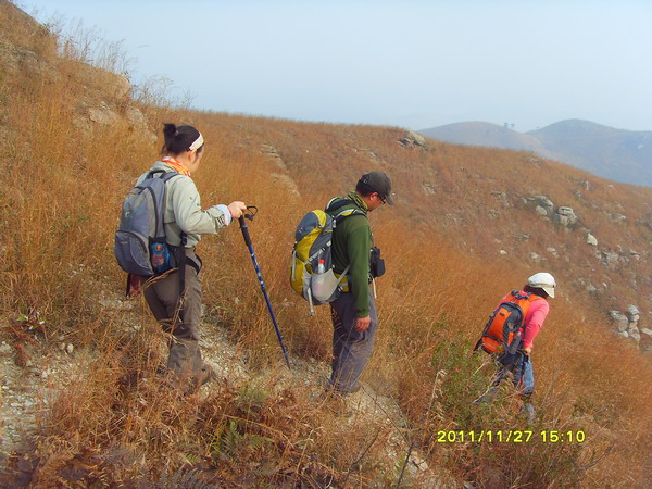 sdc17421.jpg