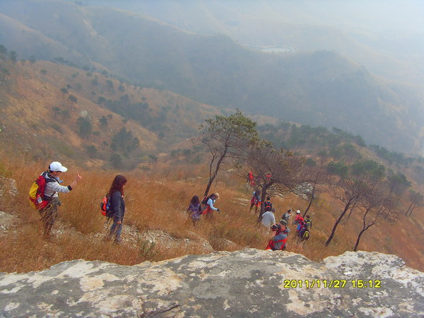sdc17428.jpg