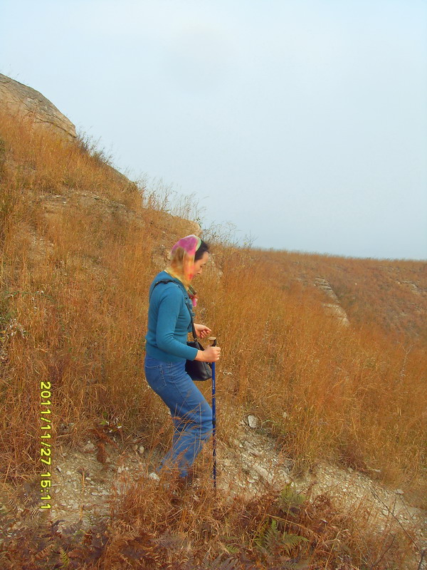 sdc17426.jpg