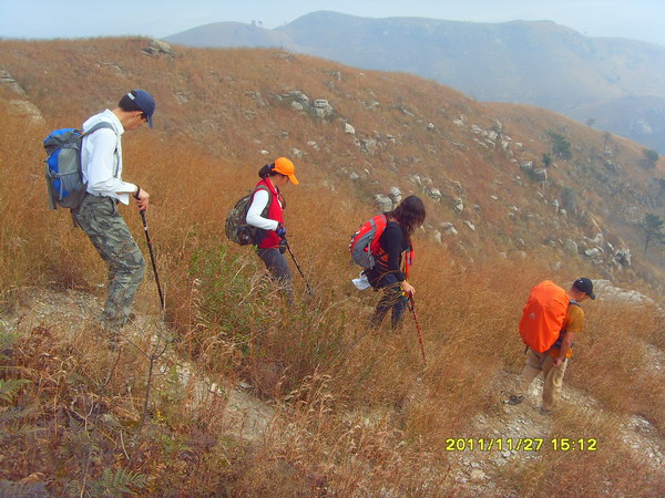sdc17433.jpg