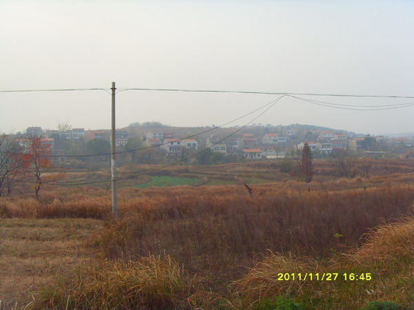 sdc17448.jpg
