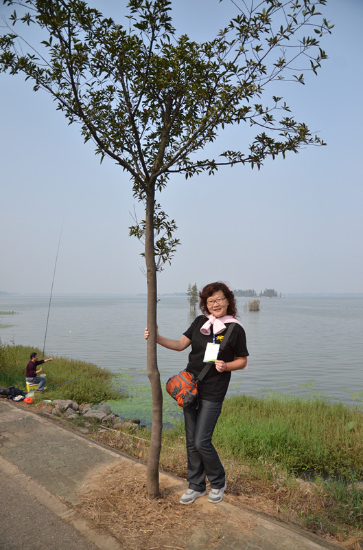Ƭ 093_.jpg